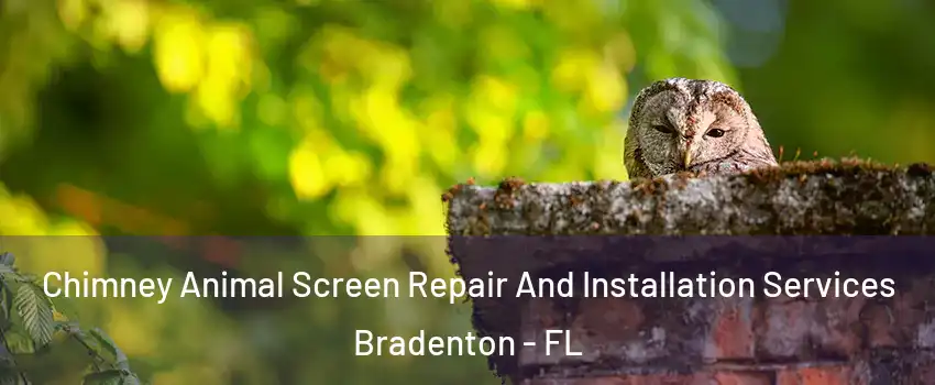  Chimney Animal Screen Repair And Installation Services Bradenton - FL