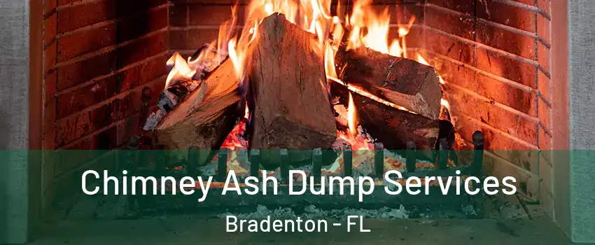  Chimney Ash Dump Services Bradenton - FL