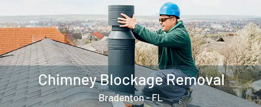  Chimney Blockage Removal Bradenton - FL