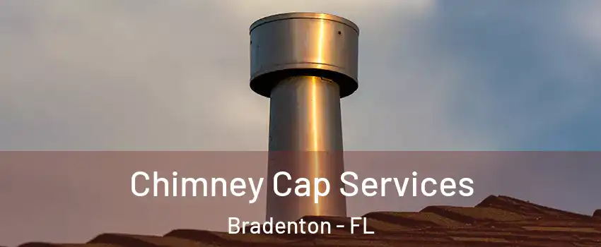  Chimney Cap Services Bradenton - FL