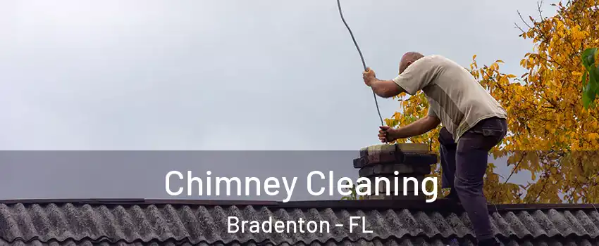  Chimney Cleaning Bradenton - FL