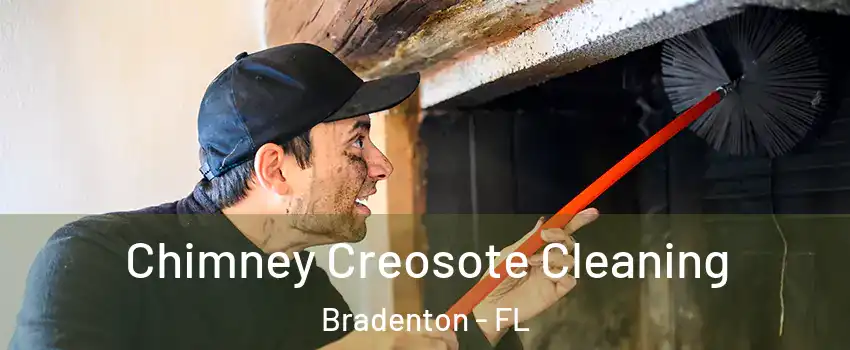  Chimney Creosote Cleaning Bradenton - FL