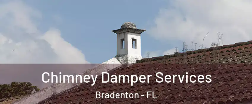  Chimney Damper Services Bradenton - FL