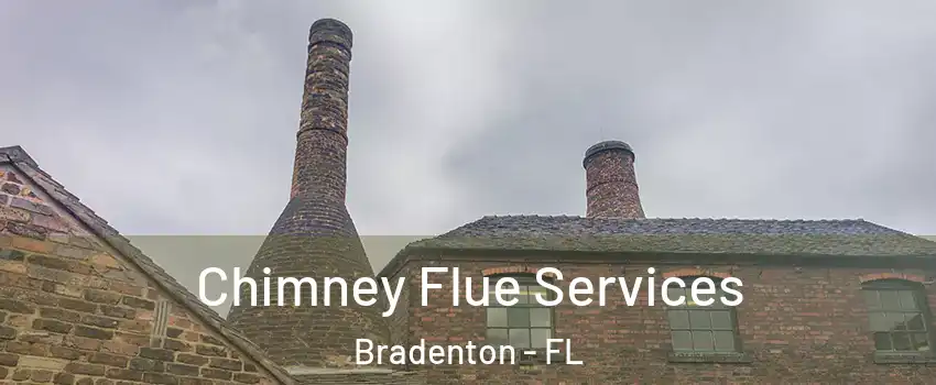  Chimney Flue Services Bradenton - FL