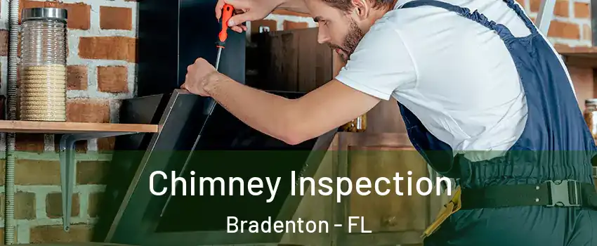  Chimney Inspection Bradenton - FL