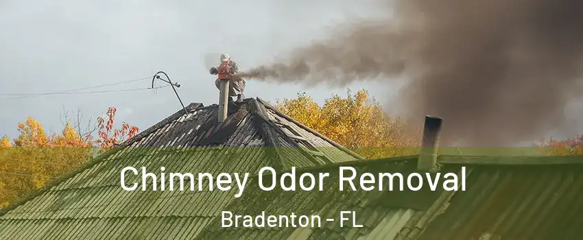  Chimney Odor Removal Bradenton - FL