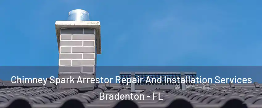  Chimney Spark Arrestor Repair And Installation Services Bradenton - FL