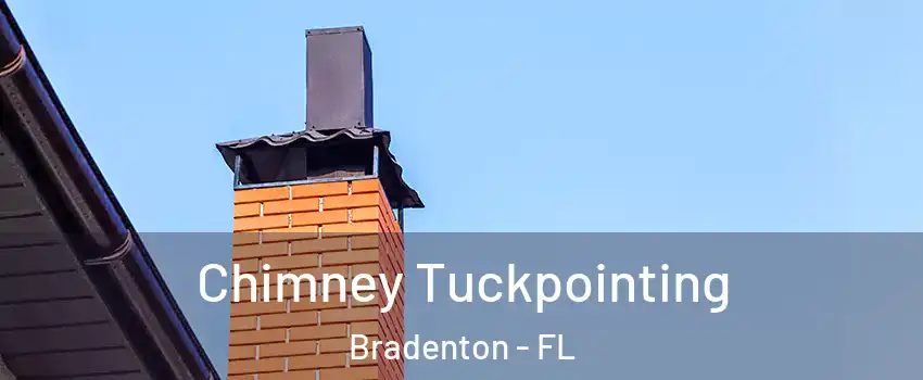  Chimney Tuckpointing Bradenton - FL