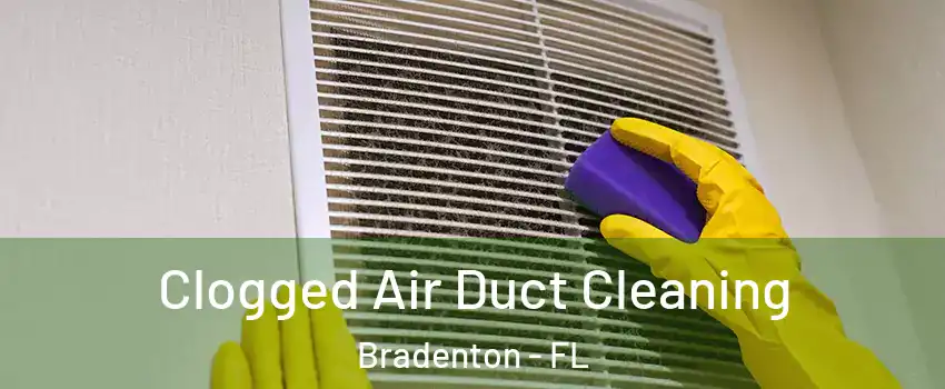  Clogged Air Duct Cleaning Bradenton - FL
