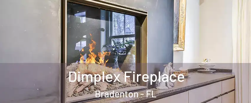  Dimplex Fireplace Bradenton - FL