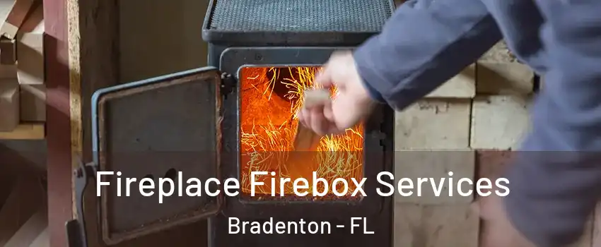  Fireplace Firebox Services Bradenton - FL