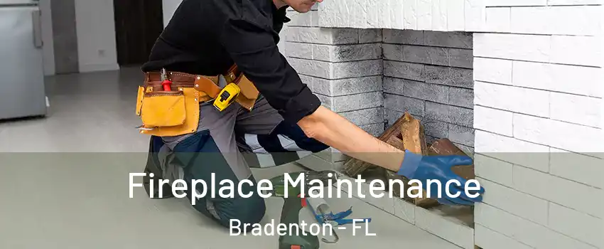  Fireplace Maintenance Bradenton - FL