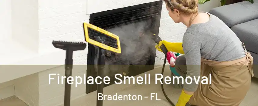  Fireplace Smell Removal Bradenton - FL