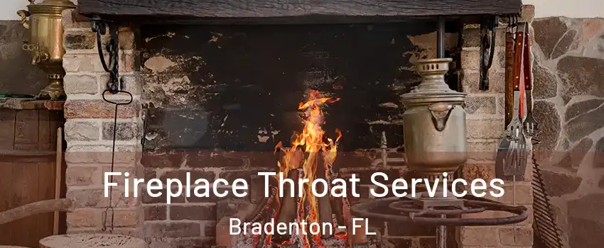  Fireplace Throat Services Bradenton - FL