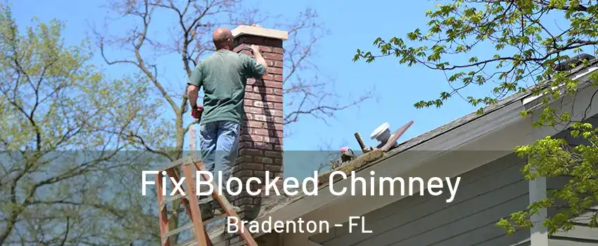  Fix Blocked Chimney Bradenton - FL