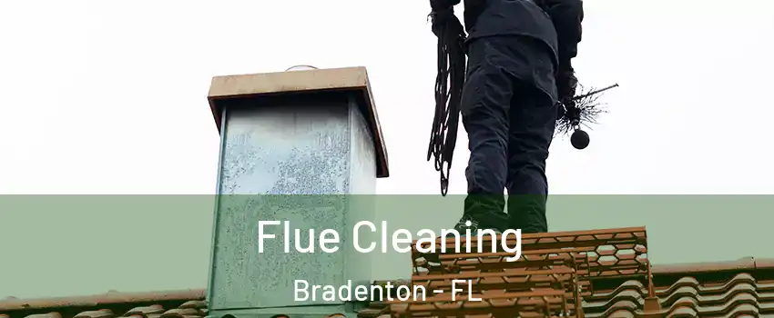  Flue Cleaning Bradenton - FL