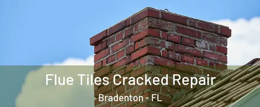  Flue Tiles Cracked Repair Bradenton - FL