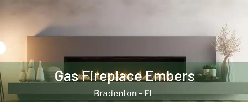  Gas Fireplace Embers Bradenton - FL
