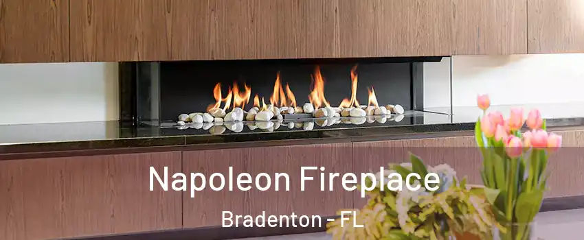  Napoleon Fireplace Bradenton - FL