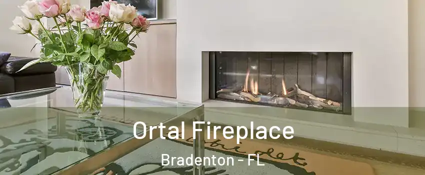  Ortal Fireplace Bradenton - FL